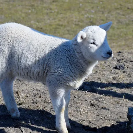 Stern Дом отдыха