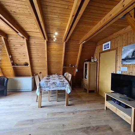 Stern Каролинензиль