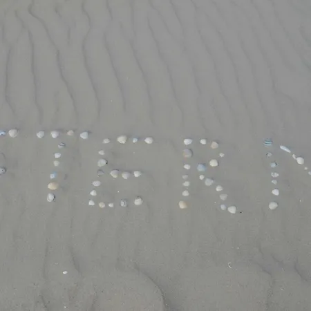 Stern Дом отдыха *